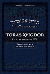 TORAS AVIGDOR, VOL. 1: SHEMOS