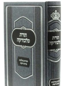 Toras Slobadka תורת סלבודקה