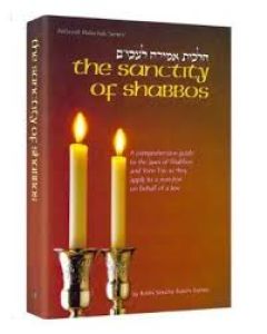 The Sanctity of Shabbos (soft cover)