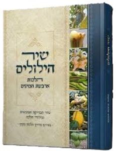 Shir Hilulim Arbah Minim שיר הילולים – הלכות ארבעת המינים
