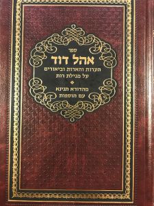 Ohel Dovid on Megilas Ruth