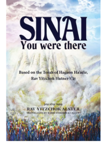 Sinai: You Were There
