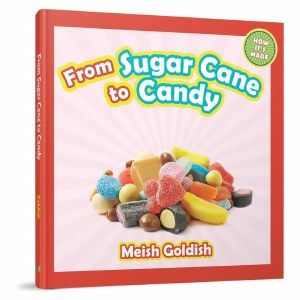 From Sugar Cane to Candy
