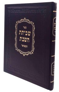Shvisas Hashabbos Hamefoar שביתת השבת המפואר