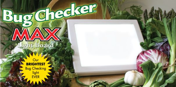 Bug Checker MAX Light Board