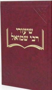 שיעורי רבי שמואל ב’מציעא ‘א SHIUREI RABI SHMUEL BABA METZIAH 2