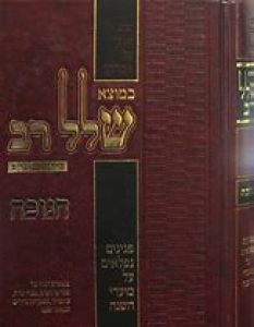 שלל רב חנוכה Shalal Rav Chanukah