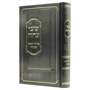 שובי ונחזה ספ׳ העומר – שבועות Shuvi Ve’Nechzeh Sefira-Shavuos