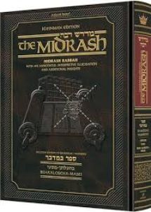 Midrash Rabbah – Bamidbar – 2