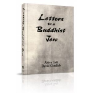 Letters to a Buddhist Jew