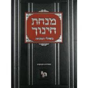 מנחת חינוך בשולי המנחה ו