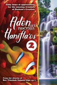 ADON HANIFLAOS 2