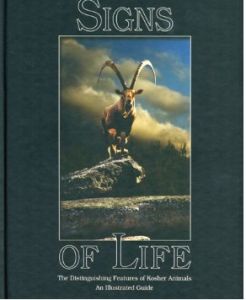 Signs of Life