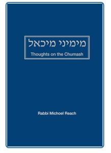 מימיני מיכאל: Thoughts on the Chumash S/C