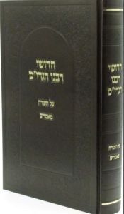 חידושי רבנו הגרי”מ Kedushi Rabenu Hagrim