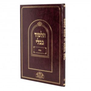 תלמוד מכות נהרדעא תלמידים Talmud Makkos Naharda Student G7b YDT