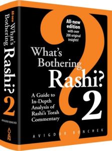 What’s Bothering Rashi 2