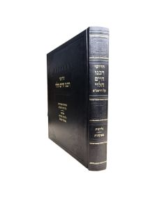 Chidushei Hagrach Al Harambam חידושי רבינו חיים הלוי -על הרמב”ם -מפתחות -גליונות מגדולי ישראל