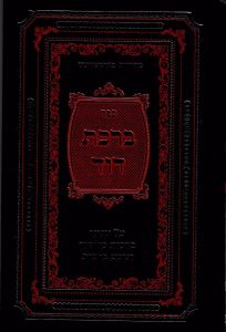 ברכת דוד