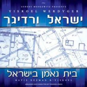 Yisroel Werdyger-Bayis Neeman B’yisroel
