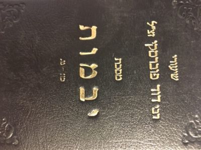 שיעורי רבי דוד פוברסקי – יבמות Shiurei Rav Dovid Povarsky Yevamos