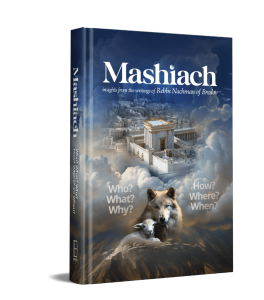 Mashiach: Who? What? Why?