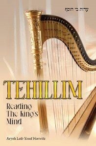 Tehillim: Reading The King’s Mind