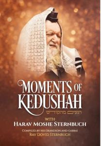 Moments of Kedushah