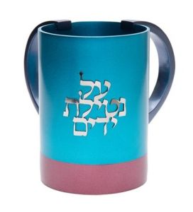 Emanuel Washing Cup NYS-3