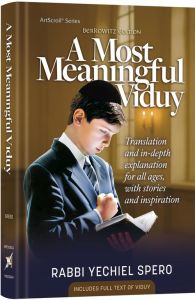 A Most Meaningful Viduy