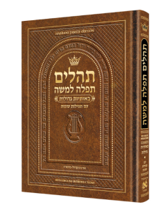 Pocket Size Hebrew Tehillim with English Introductions Pocket Size Light Brown