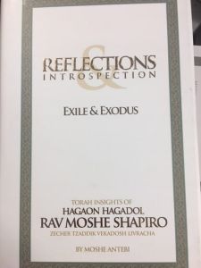 Reflections Introspection EXILE & EXODUS