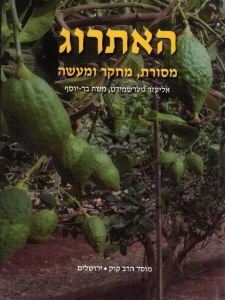 Mesores Haesrog האתרוג מסורת מחקר ולמעשה הלכתיים והיסטוריה במכלול האתרוג