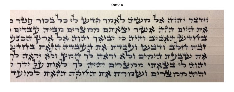 Build your own Tefillin