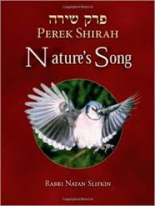 Nature’s Song