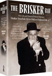 The Brisker Rav Vol 4