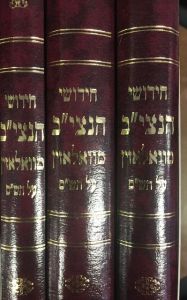 חידושי הנצי”ב ג’כ CHIDUSHEI HANATZIV