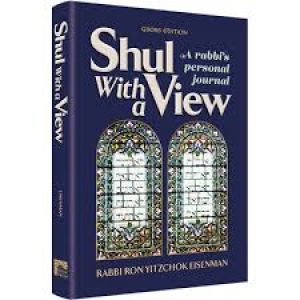 Shul With a View : A rabbi’s personal journal