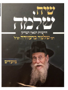 Siach Shlomo Drashos Rav Shlomo Brevda שיח שלמה דרשות ר’ שלמה ברעוודא מועדים