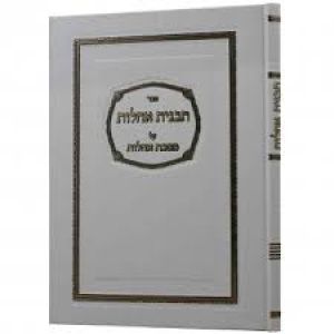 תבנית אהלות על מסכת אהלות