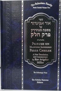 Ohr Avigdor Peirush on Perek Cheilek – Vol 2