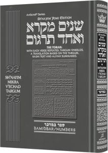 Shnayim Mikra V’Echad Targum – Bamidbar