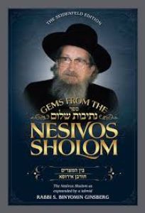 Gems of Nesivos Sholom Three weeks churban Europe