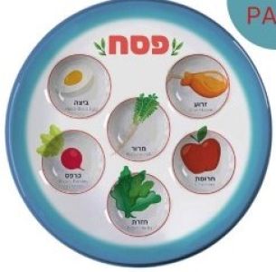 Disposable Seder Plate Bold Colored Design Blue 10.5″