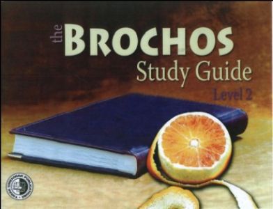 The Brochos Study Guide level 2