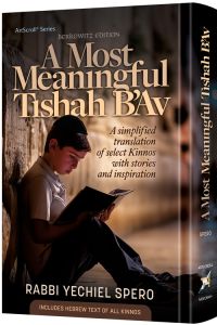 A Most Meaningful Tishah B’Av