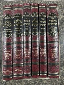 Mesikos Hamodaim 6 Vol מתיקות המועדים