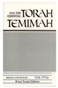 The Essential Torah Temimah: Megillas Eichah