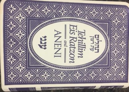 Tehillim Eis Ratzon and ANENI H/E SC