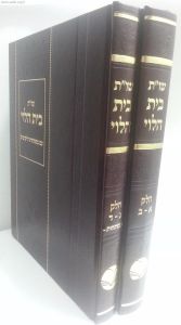 שו”ת בית הלוי חלק א-ד מכון אור החיים Two volume set